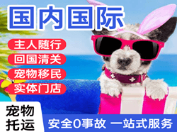 涟水机场空运国际宠物托运 【国